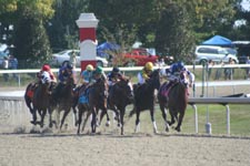 All-weather Tracks